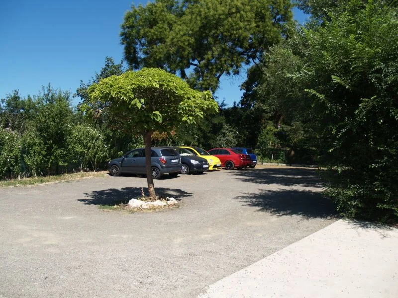 Motoralkatrész üzletünk története
