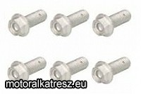 TRW Lucas Féktárcsa rögzítő csavarszett MSS 131-6