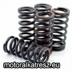 F.C.C. 044-828 Kuplungrugó