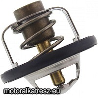 Tourmax TMT-301 termosztát