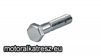 OHC Hatlapfejű csavar 5/16